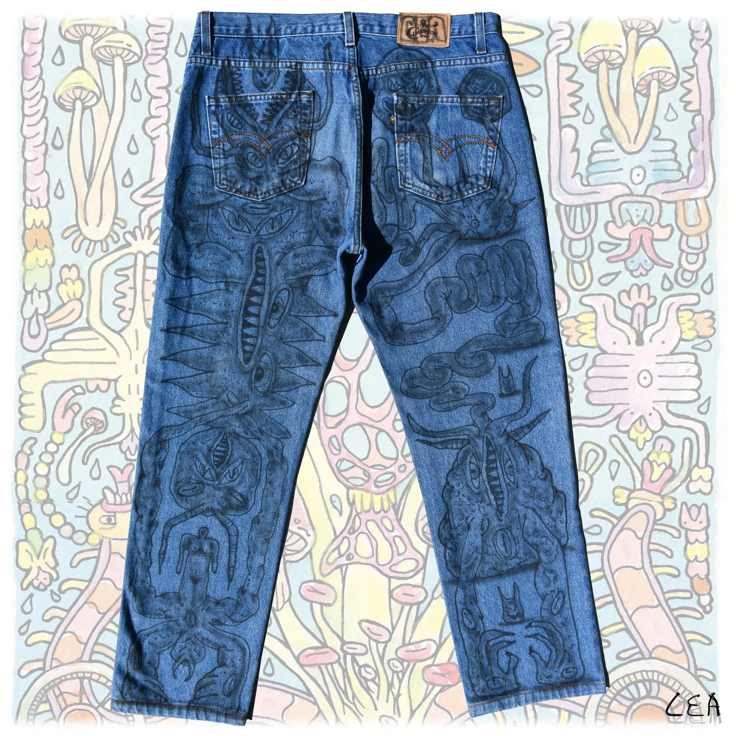 Jeans Cimarron intervenidos