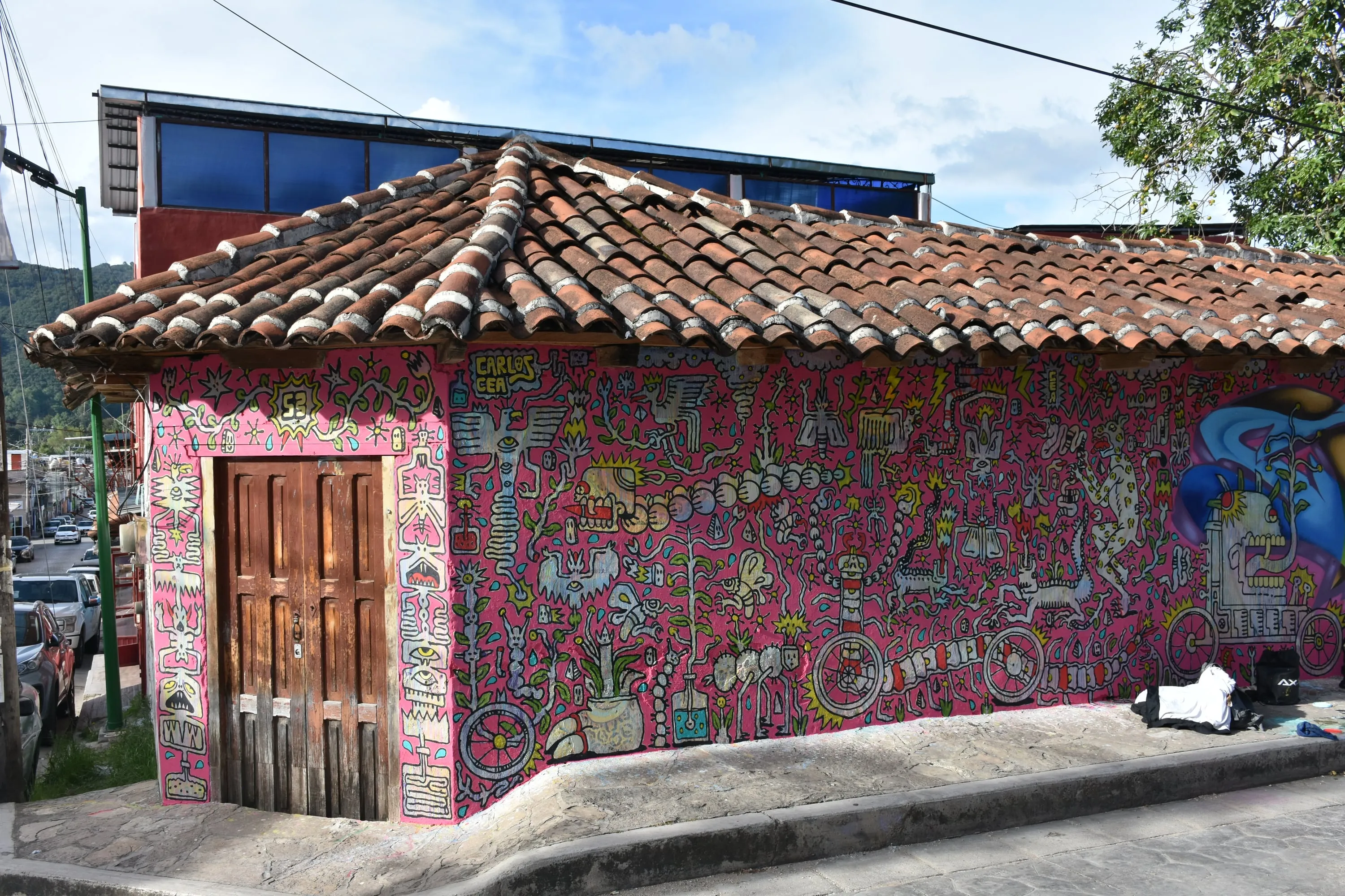 Jardín rosa 