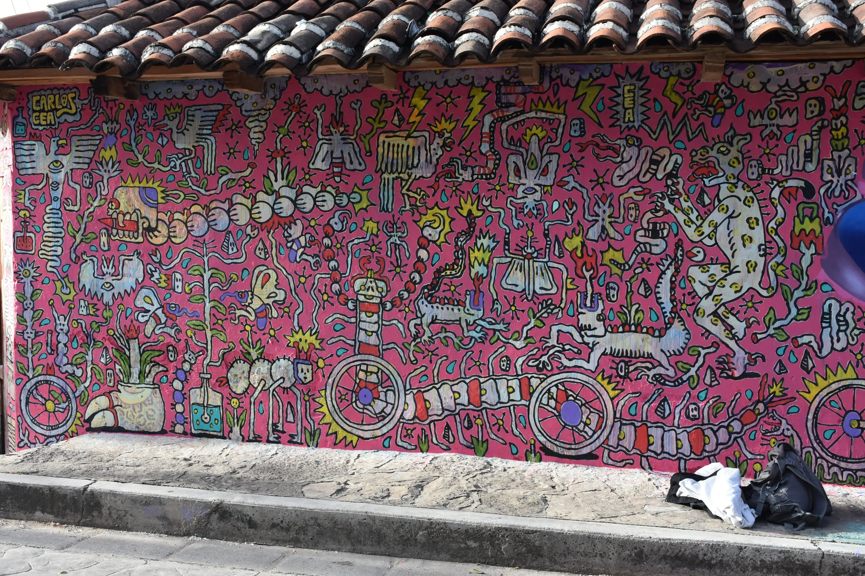 Jardín rosa 